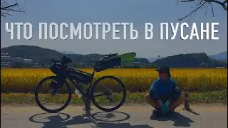 Пусан. Что посмотреть за 2 дня? | На велике через всю Корею