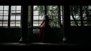 aria | ˈärēə