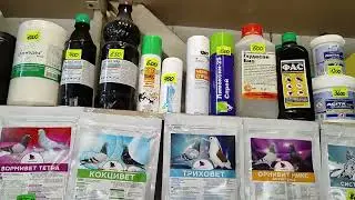 3.08.2024г Голубиный Рай ч. 3