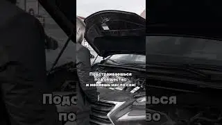 Выбор очевиден! Согласны?😌