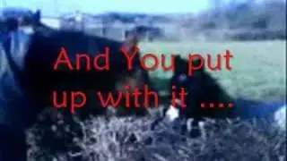 Re: Horse Contest!!! ... our bond !!