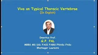 Viva on typical thoracic vertebrae ENGLISH