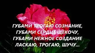 МОИ НОЧНЫЕ ЧУДЕСА