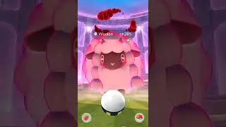 Our First Dynamax is Wooloo at #pokemongo