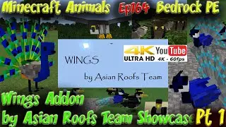 Wings Addon by Asian Roofs Team Pt1 Minecraft PE Bedrock Animal Addon 60FPS 4K Animals Ep164