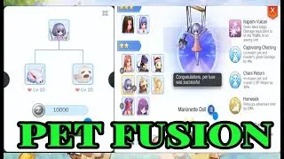 Ragnarok 2.0 Memory of Faith Midnight Party increase Intimacy Pet Fusion Marionette