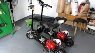 Go Ped,Scooter,Moped,Roller  in der Ukraine in Germany