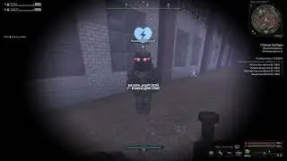 Баг в STALCRAFT