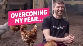I'm actually kinda scared of chickens...
