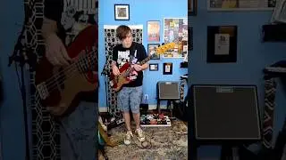 Day 8 of 365 Days of Riffs! #365days #fenderguitars #strymon #bosspedals