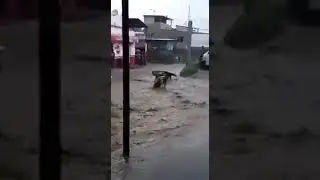 agarralo que se lo lleva la corriente xd