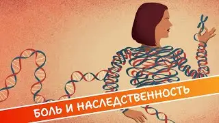 БОЛЬ И НАСЛЕДСТВЕННОСТЬ