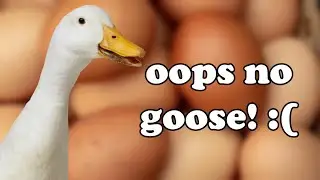 Six Geese A-Laying