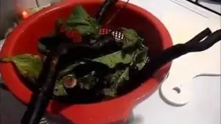 Gavezova mast - mehlem ili melem