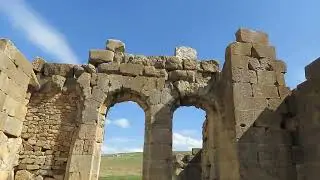شاهد كيف يرمون غذاء الجزائريين في البحر لكي لا يرخس ثمنه