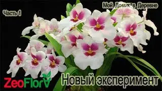 Часть1... Мильтония! Адаптация к Закрытой системе! !!! Посадка с Цеофлорой!