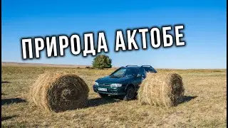 AUTO LIFE • Природа Актобе • Рубрика 
