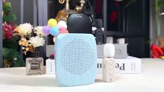 Crystal Clear Sound Anywhere! SHIDU S258 Wireless Amplifier Review & Demo