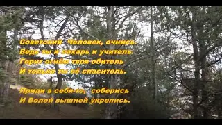 Вопросы, вопросы, вопросы к Ирине Пелиховой #ЗлойАНГЕЛина!