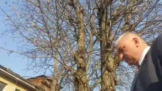 Я тут главный, мне все можно