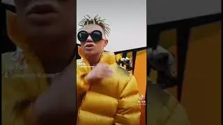 элджей -wonder king