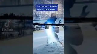А по весне стальное небо стало синим... Сергей Комолов