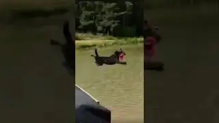 woo hoo Dog 😂 