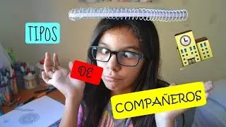 Tipos de compañeros