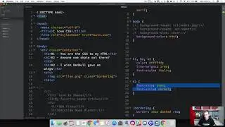 CSS Text Styling & Formatting