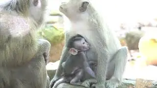 Small boy needs Momy carry…Family Jenny loves