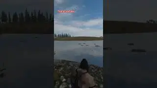 #mountandblade