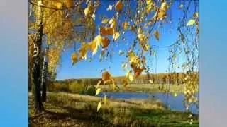 Природа осенью красивые пейзажи смотреть