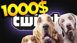 $1000 Donation REACTION (My Biggest Donation on Twitch) Csgo Crash