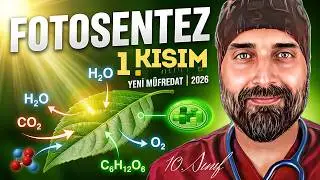 Lesson 2: Photosynthesis Topic Explanation-1 | 10th Grade Biology New Curriculum 2026 | Dr. Biology