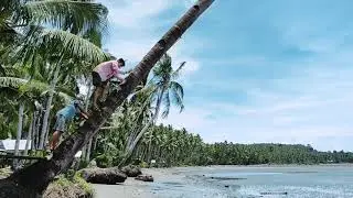 Visit Oras: Babalastan Beach #relaxing #beach (Oras, Eastern Samar)