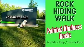 Rock Hiding Walk  - Painted Kindness Rocks