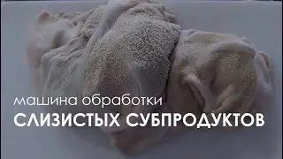 Processing of mucous offal of cattle
