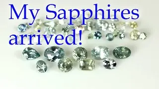 My rough Montana sapphires are cut and ready