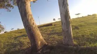 Drone FPV - Voando entre as arvores - quad freestyle