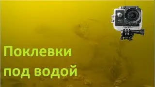 Подводные съемки поклевок на Реке!!!!!!