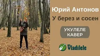 ЮРИЙ АНТОНОВ - У БЕРЕЗ И СОСЕН укулеле кавер