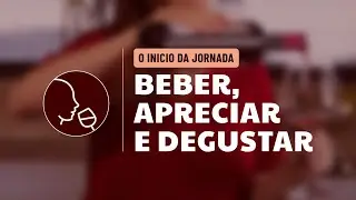 O Início da Jornada: Beber, Apreciar e Degustar