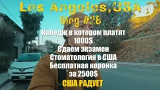 Бесплатный стоматолог в Америке /  Бесплатное обучение в США / Бесплатная Жизнь в Америке
