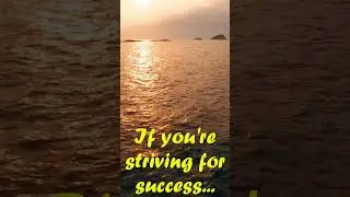 How to become successful in life?