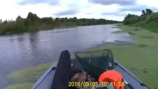 Брянск. Открытие осеннего спиннинга на Десне.