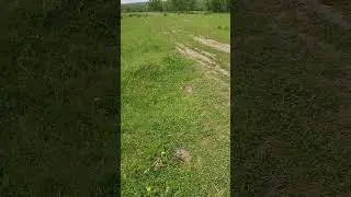 Воспоминания из детства
