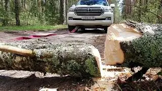Почтили память военных журналистов в Брянской области