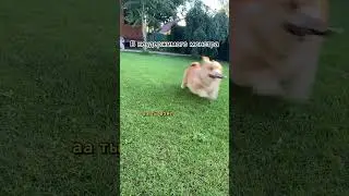 Ах как быстро растут дети