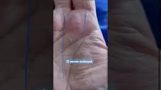 3 знака успеха. Ждет ли тебя успех в жизни и карьере?  #хиромантия