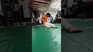 Hip Toss #tutorial #howto #foryou #martialarts #reaction #selfdefense #fyp